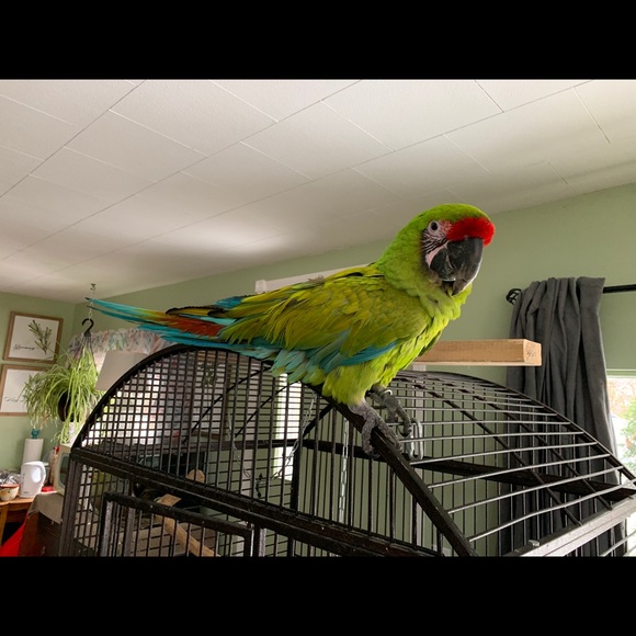 Meet your Posher, Karen - Picture 8 of 12